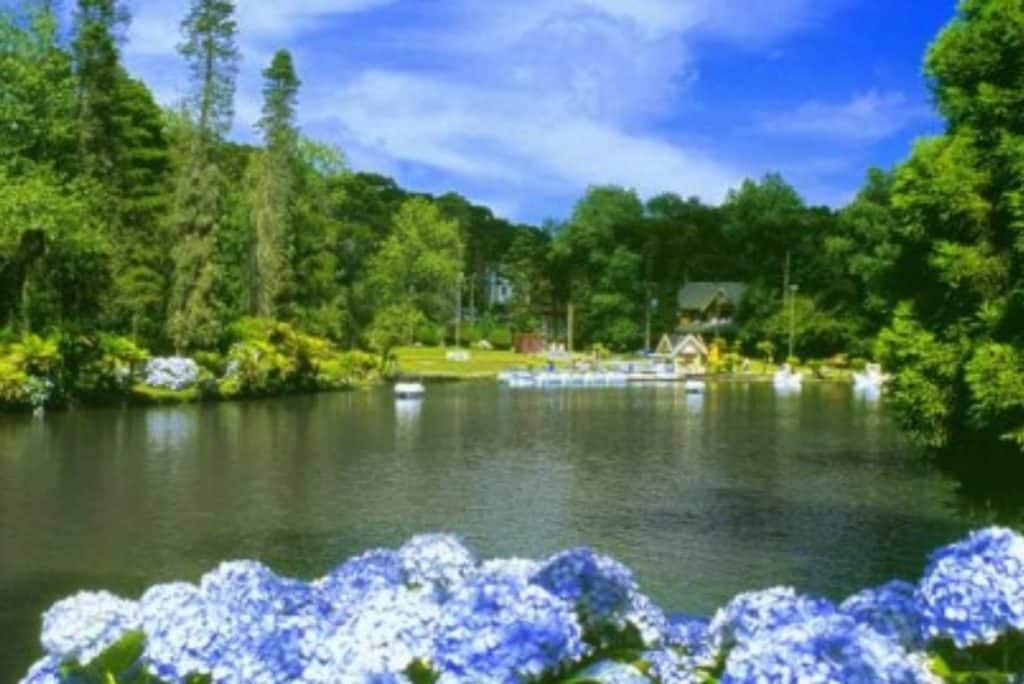 Lago negro: o que fazer em Gramado