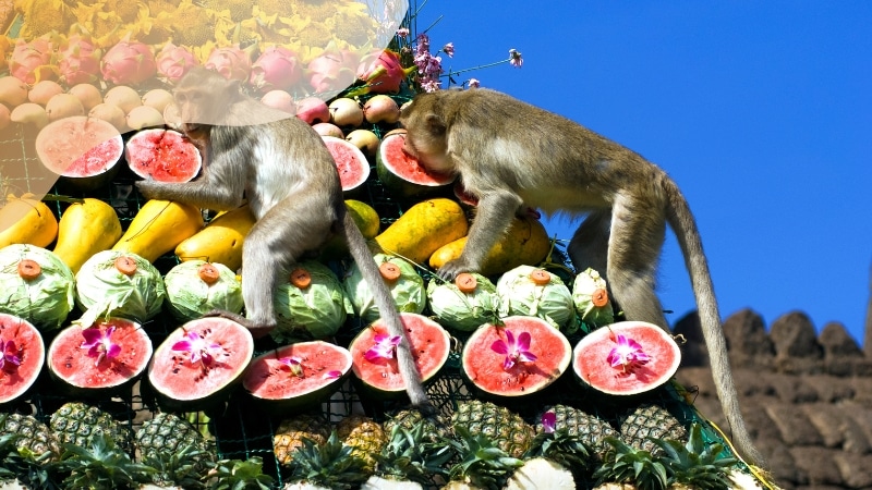 Hábitos característicos de culturas pelo mundo Hábitos característicos de culturas pelo mundo