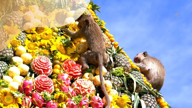 Festivais curiosos pelo planeta